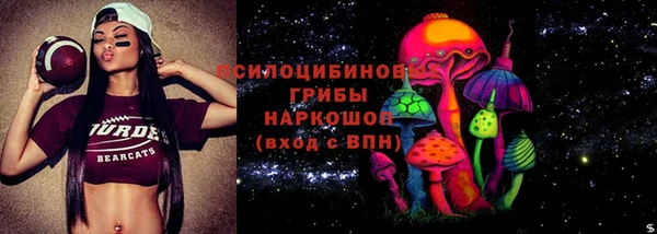 молекула духа Беломорск